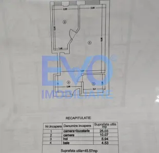 Apartament cu 2 camere, mobilat&utilat, zona Tatarasi Piata 2 Baieti - foto 11