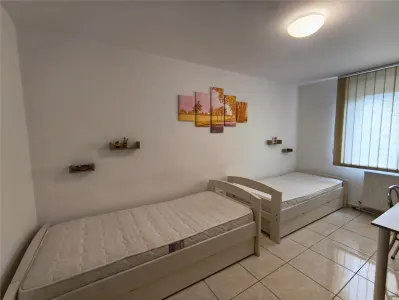 Apartament 2 camere Piata Victoriei langa Mures Mall si UMFST, Centru - foto 5